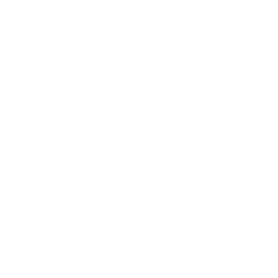 wit-daiichi