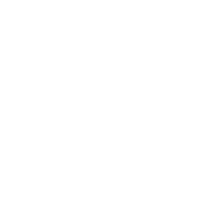 wit-schindler